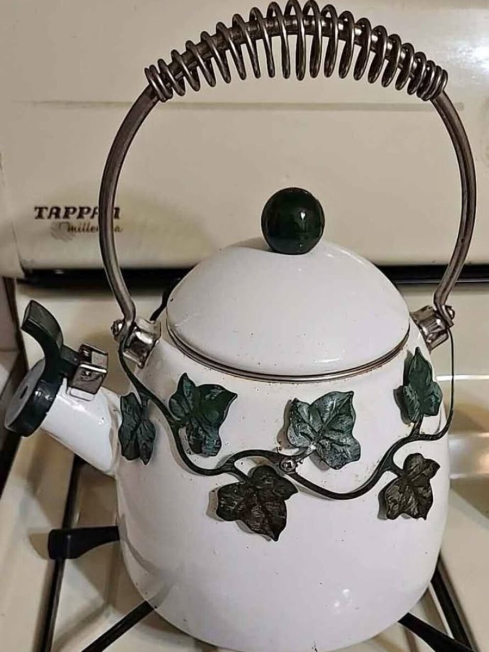 Whistling tea kettle